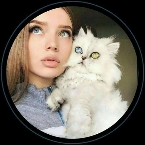  عکس پروفایل گربه و دختر غمگین