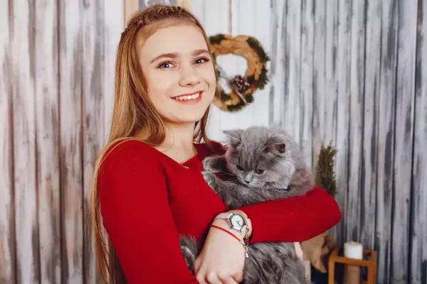  عکس گربه خانگی