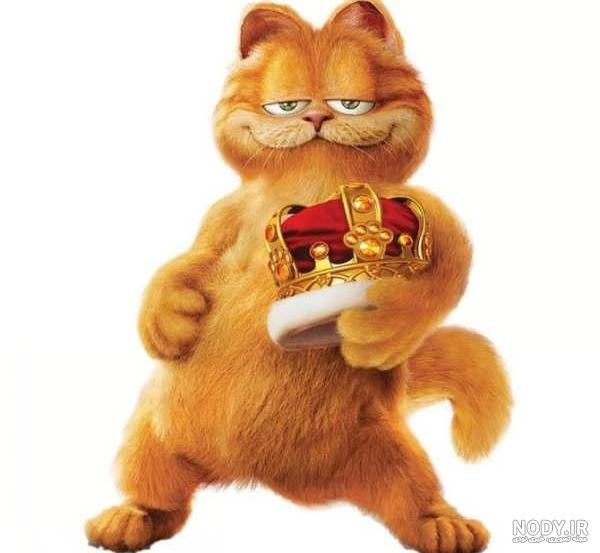  عکس گربه گارفیلد واقعی