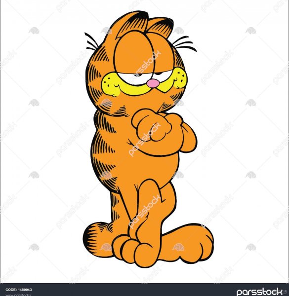  عکس گربه گارفیلد واقعی