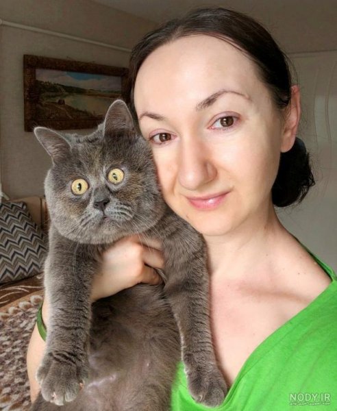  عکس گربه گارفیلد واقعی