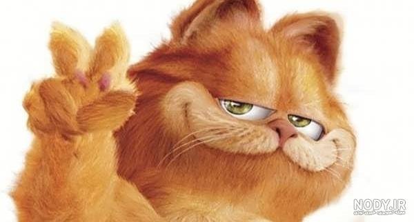  عکس گربه گارفیلد واقعی