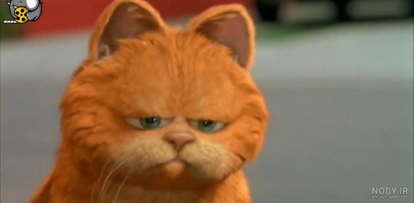  عکس گربه گارفیلد واقعی