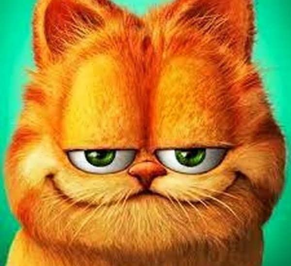  عکس گارفیلد برای پروفایل