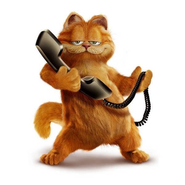  عکس گارفیلد برای پروفایل