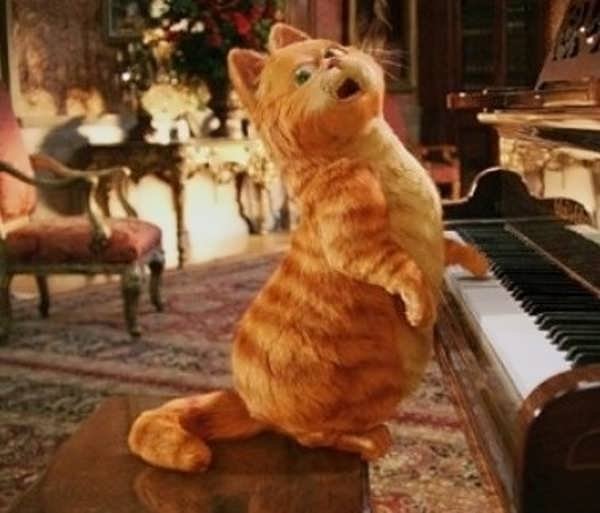  عکس گارفیلد برای پروفایل