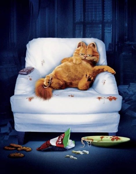  عکس گارفیلد برای پروفایل