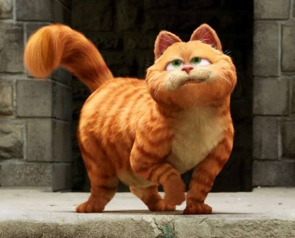  عکس گارفیلد برای پروفایل