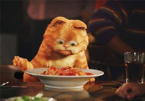 عکس گارفیلد برای پروفایل با کیفیت