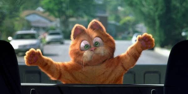  عکس گارفیلد برای پروفایل با کیفیت