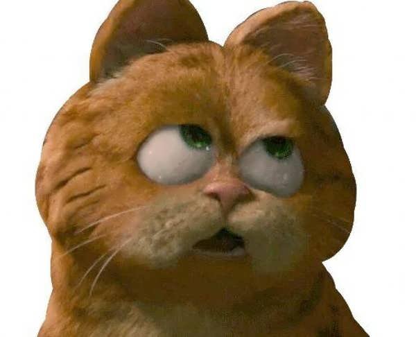  عکس گارفیلد برای پروفایل با کیفیت