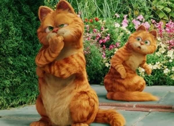  عکس گارفیلد برای پروفایل با کیفیت