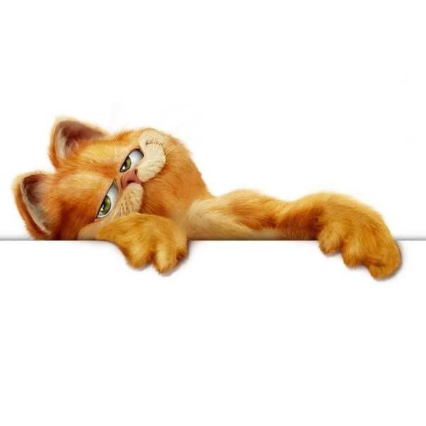  عکس گارفیلد برای پروفایل با کیفیت