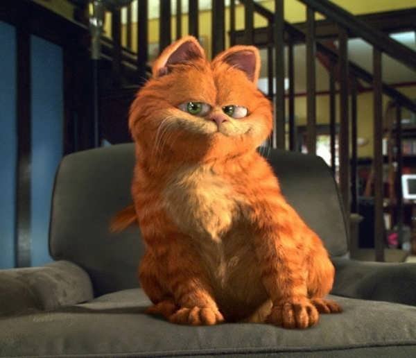 عکس گارفیلد کیوت