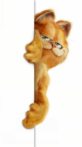  عکس گارفیلد کیوت