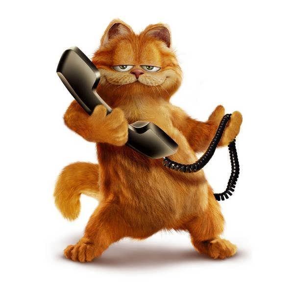  عکس گارفیلد کیوت