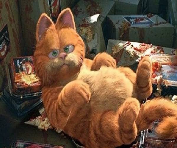  عکس گارفیلد کیوت