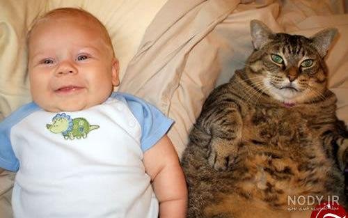 عکس گارفیلد برای پس زمینه