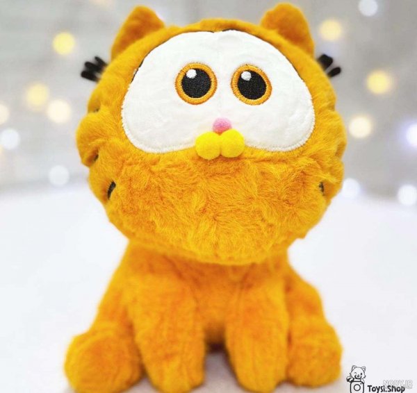 عکس گارفیلد برای پس زمینه