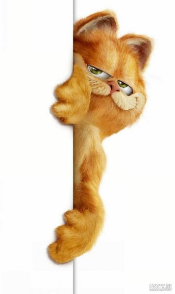 عکس گارفیلد برای پس زمینه