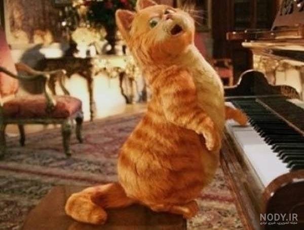 عکس گارفیلد برای پس زمینه