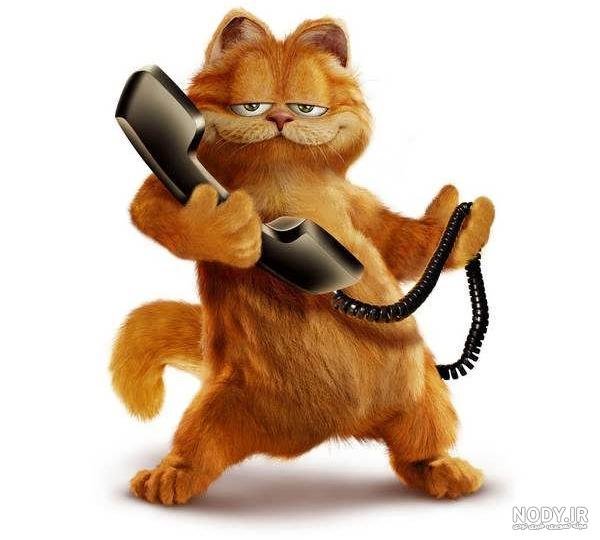 عکس گارفیلد برای پس زمینه