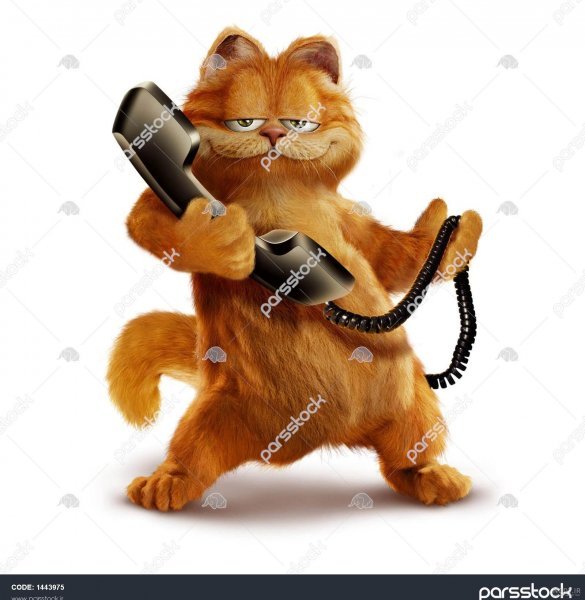  عکس گارفیلد برای پس زمینه