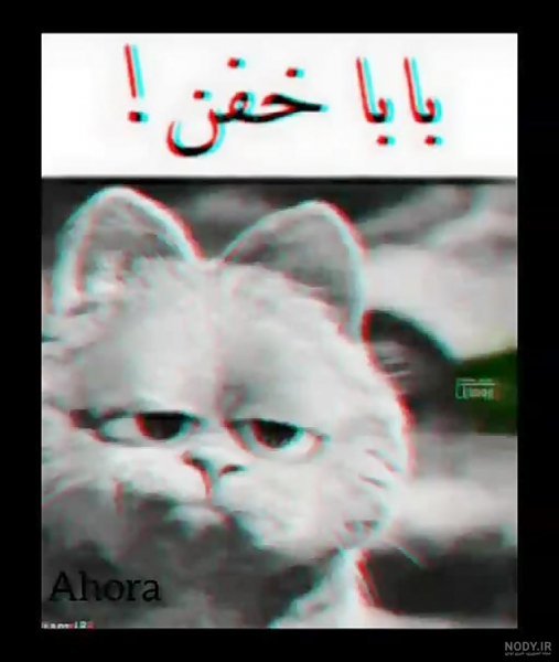  عکس گارفیلد برای پس زمینه