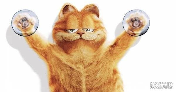  عکس گارفیلد برای پس زمینه