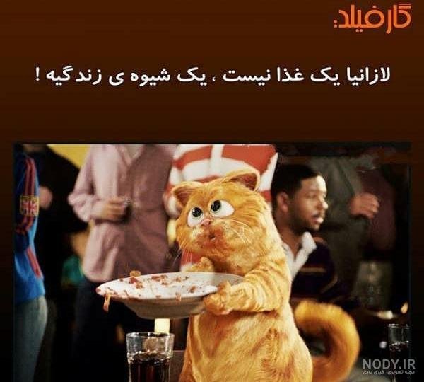  عکس گارفیلد برای پس زمینه