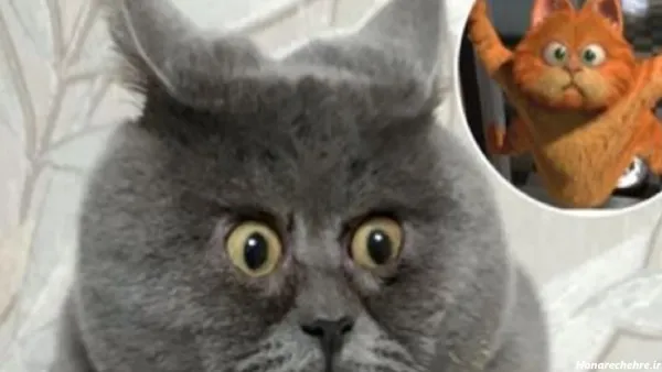  عکس گارفیلد نقاشی