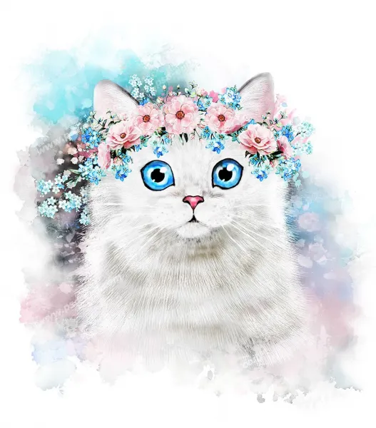  عکس گربه پرشین کلاسیک