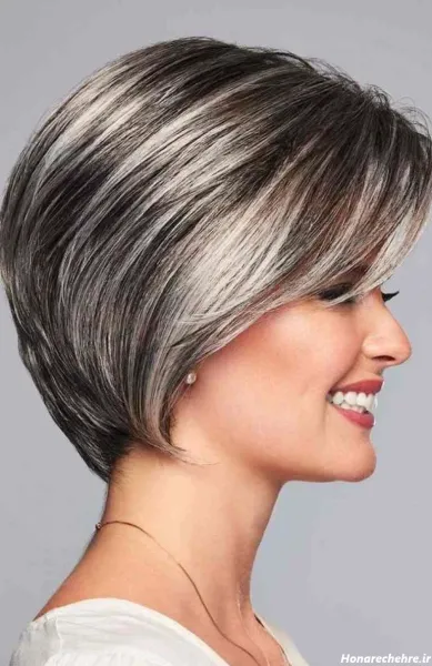  45 عکس از زیبایی موی مشکی با مش استخوانی