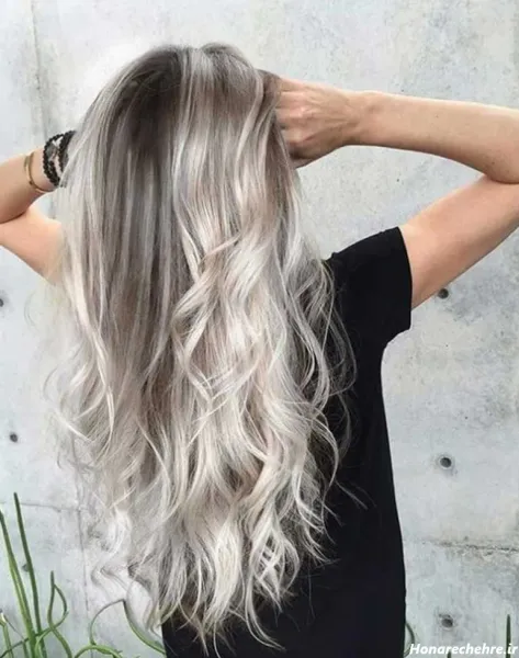  45 عکس از زیبایی موی مشکی با مش استخوانی