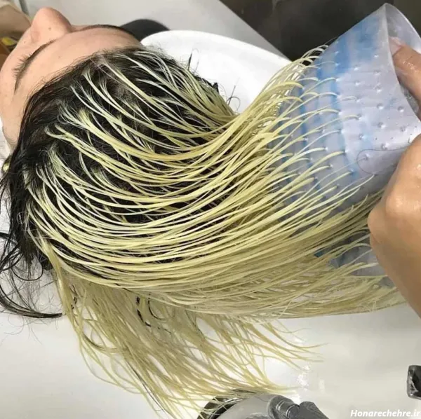  45 عکس از زیبایی موی مشکی با مش استخوانی