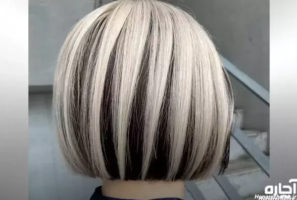  45 عکس از زیبایی موی مشکی با مش استخوانی