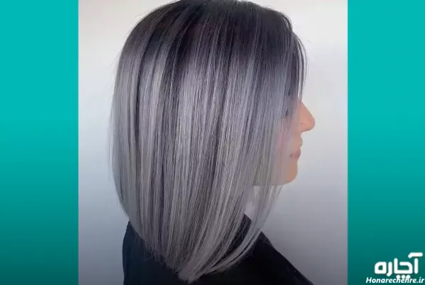  45 عکس از زیبایی موی مشکی با مش استخوانی