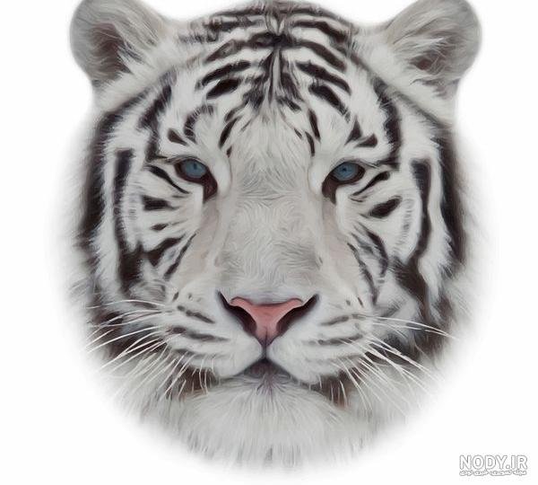  عکس گربه ترسناک