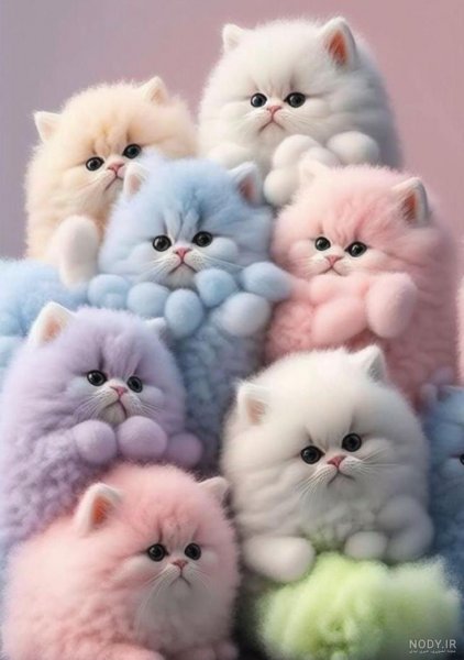 عکس گربه برای تصویر زمینه دخترانه