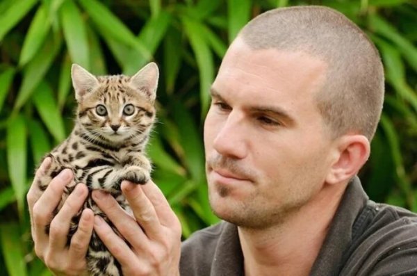  عکس کوچکترین گربه جهان