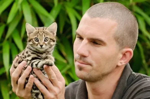  عکس کوچکترین گربه جهان