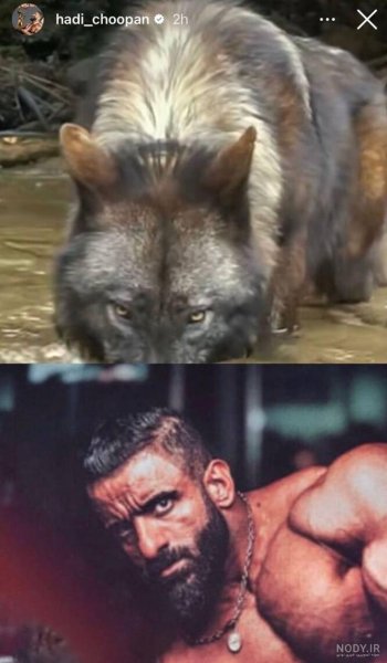 عکس هادی چوپان با لباس