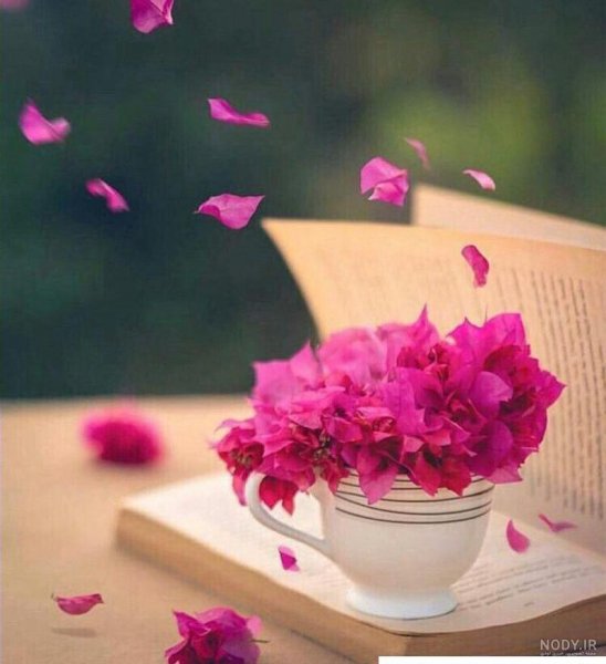  عکس پروفایل شاد و پر انرژی بدون متن