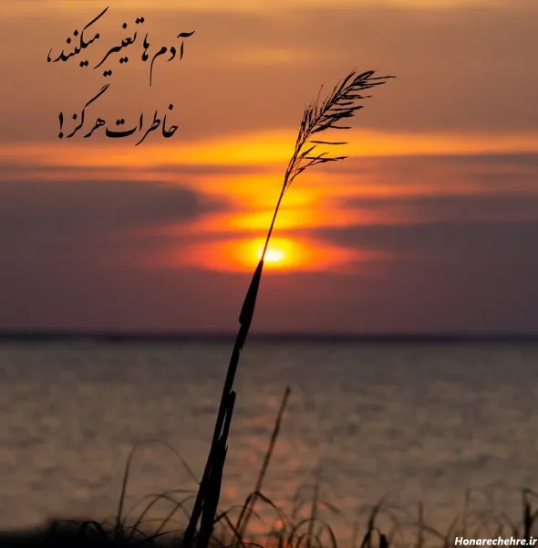  50 عکس پروفایل شیک