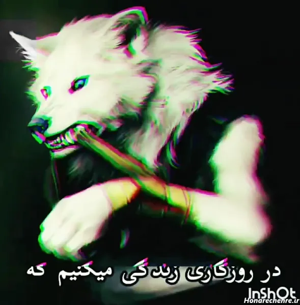  عکس پروفایل پسرانه لاتی گرگ