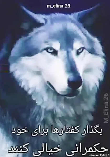  عکس پروفایل پسرانه لاتی گرگ