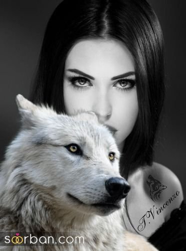  عکس گرگ وحشی برای پروفایل