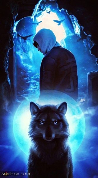 عکس گرگ قرمز واقعی