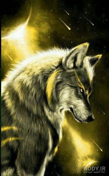  عکس گرگ واقعی در ایران