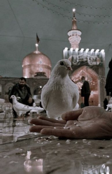 عکس پروفایل امام حسین